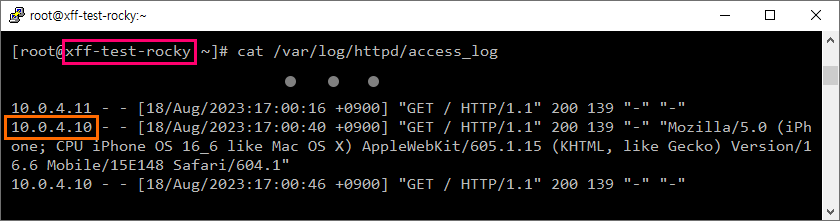 Ncloud에서 X-Forwarded-For를 이용해 Proxy, Load Balancer 환경에서 Client IP를 Apache access_log에 기록하는 방법
