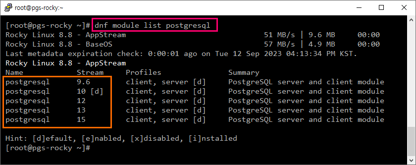 Ncloud(네이버 클라우드) VPC환경에서 설치형 PostgreSQL DB를 설치하고, 접속하는 방법